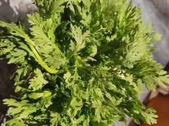 -百草滩羊清水涮羊肉·清真·宁夏盐池滩羊(莲花桥店)