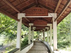 -水墨汀溪风景区