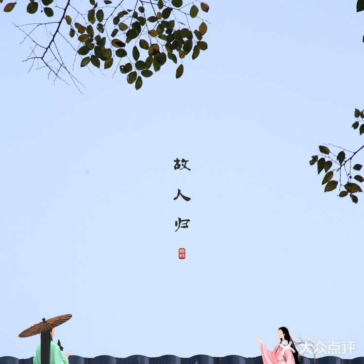 一百元五个人的中式咖啡，有山有水有金鱼