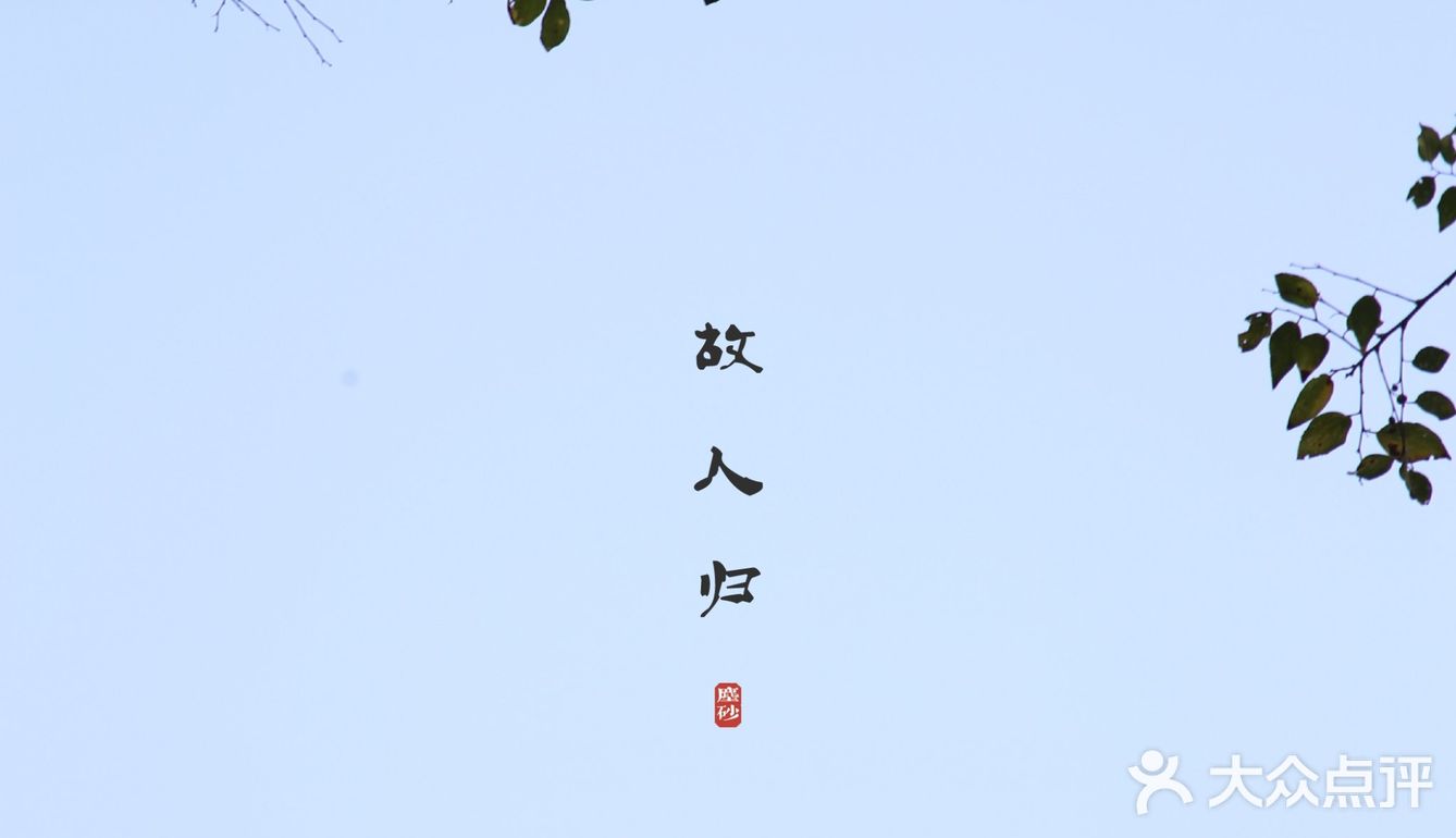 一百元五个人的中式咖啡，有山有水有金鱼