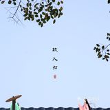 一百元五个人的中式咖啡，有山有水有金鱼