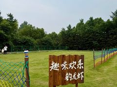 -诸暨耀江开元名都大酒店