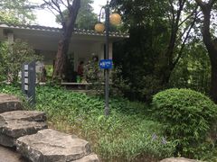 -晓港公园
