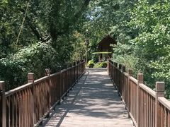 -北京麋鹿生态实验中心