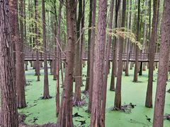 -青山湖景区