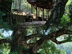 -杨家堂村