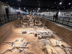 -洛阳周王城天子驾六博物馆