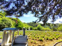 -云峰山自然风景区