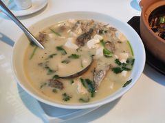 豆腐鱼头汤-至潮餐厅精致粤菜·活鲈鱼·走地鸡(珠江新城店)