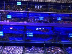 -青蓬蒸汽海鲜·深圳老字号·团建聚会(壹方城店)