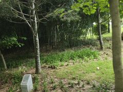 -郑州中国绿化博览园