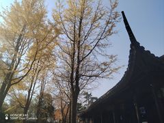 -拙政园