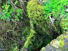 -萍乡武功山风景名胜区