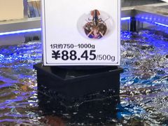 -盒马X会员店(上海森兰商都店)