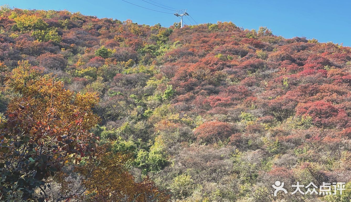 🍁赏红叶啦！