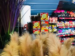 -枫花园汽车电影院(朝阳公园店)