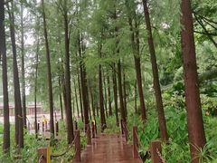 -重庆彩云湖湿地公园