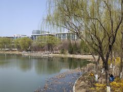 -大兴滨河森林公园
