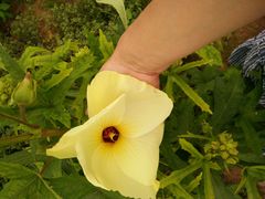 -东戴河风景区-止锚湾