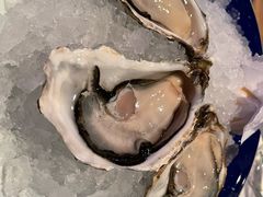 -香港喜来登酒店蚝酒吧