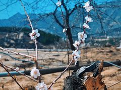 -白水寺森林公园