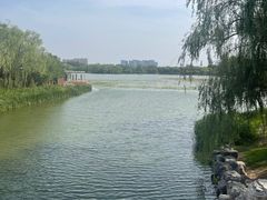 -大兴滨河森林公园