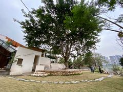 -悦哉·派对·草坪婚礼·围炉煮茶(三圣乡店)