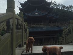 -严子陵钓台(富春江小三峡)