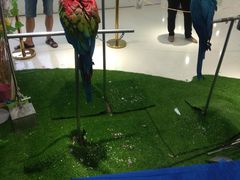 -万达广场(盐城盐都店)