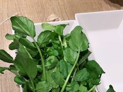 -野妹火锅(南园店)