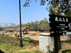 -杭州野生动物世界