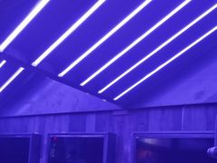 -蛙来哒(汇一城黑金冠店)