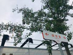 -菊园百果园