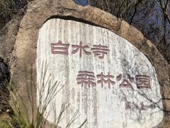 -白水寺森林公园
