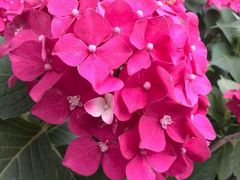 android_upload_pic-白塘生态植物园