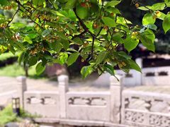 -南京市中医院-体检中心