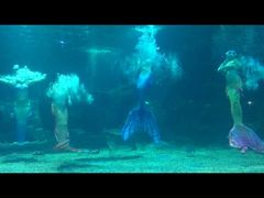 -石家庄海洋公园