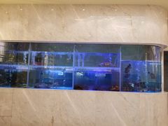水产区-御彩酒家(东风东路店)