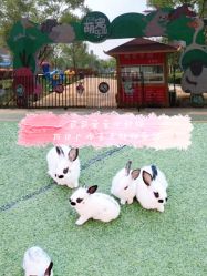 -萌宠亲子动物乐园(槐房万达店)