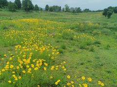 -成都蒲江花样年福朋喜来登度假酒店·宜客乐西餐厅