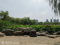 -太阳宫公园