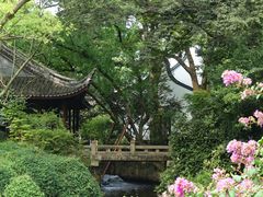 -上海醉白池公园