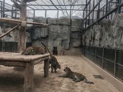 -石家庄市动物园