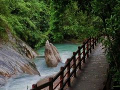 -广州白江湖森林公园