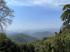 -莫干山风景区