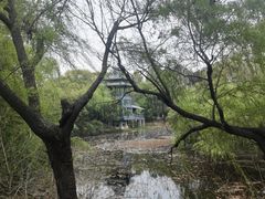 -金鸡湖桃花岛