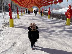 -沈阳奥体冰雪嘉年华