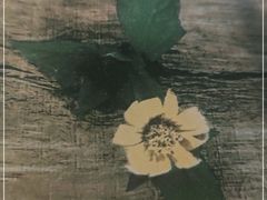 -小河公主秘制烤羊腿(小绿谷店)