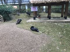 -黔灵山公园-南门售票处