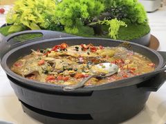 -洞庭家宴·头牌甲鱼(广渠门店)